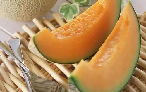 小鲜女吃哈密瓜视频大全,视频大全回顾