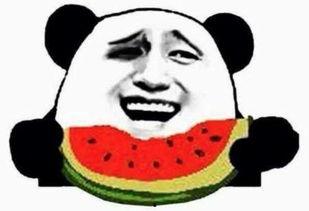 95后吃瓜群众视频,揭秘热门视频背后的故事